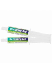 recoverdrenchpaste80ml