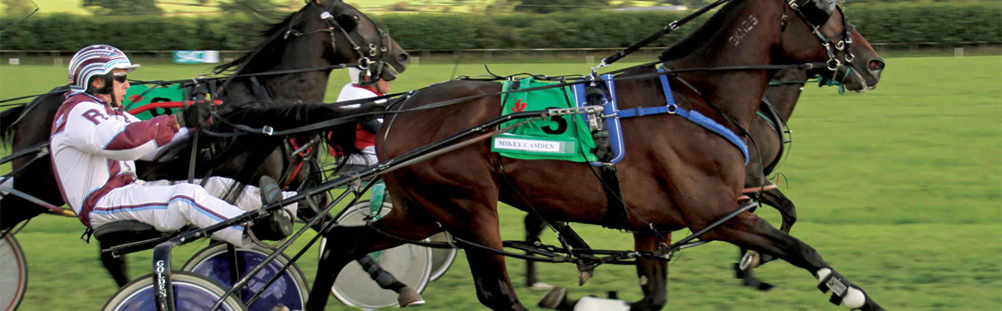 Perth Garrard's Horse and Hound