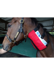 chill_time_cooling_collar