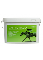 gastro_race_