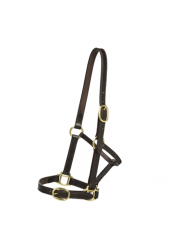 headcollar_1903