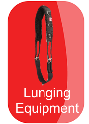 hh-lunging-equipment-button