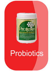hh-probiotics-button