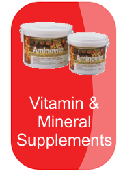 hh-vitamin-and-mineral-supplements-button-23034