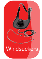 hh-windsuckers-button