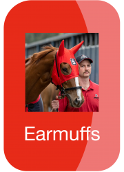 hh_web_icon_earmuffs_1760709357