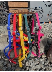 nylon_halters_1_1054395913