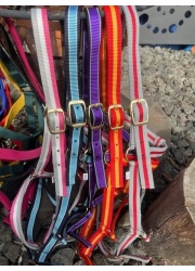 nylon_multi_halter_1