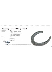 pacing_no_wing
