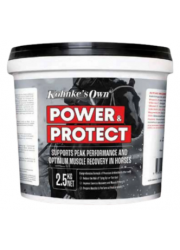 power__protect_-_taken_from_web