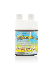 re-energize_250ml