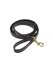single_clip_lead