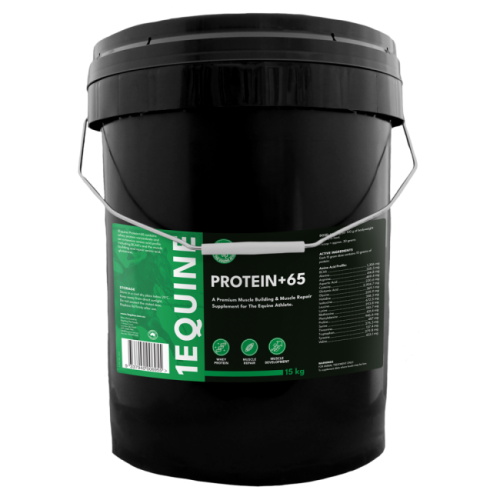 1equine_-_protein65_-_15kg-1