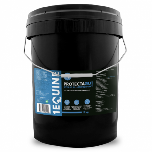 1equine_protectagut_15kg_new_1673629353