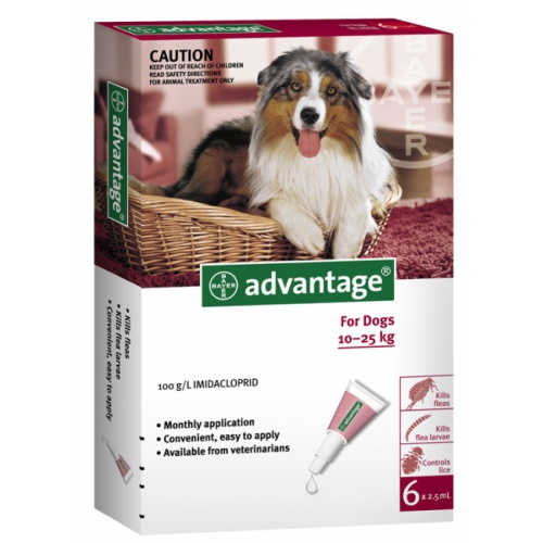 advantage monthly for dogs