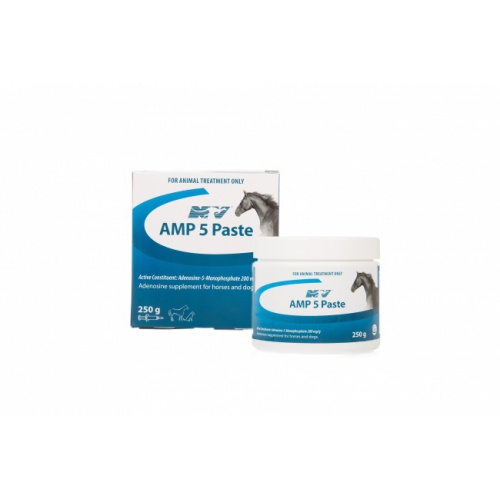 amp_5_paste_combo_250g