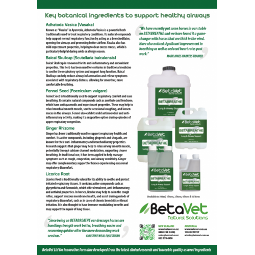 betavet_betabreath_ad_pdf_2