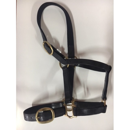 black_halter