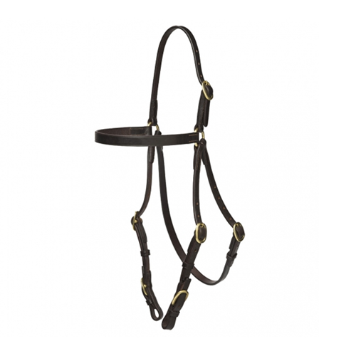 bridle_buckle