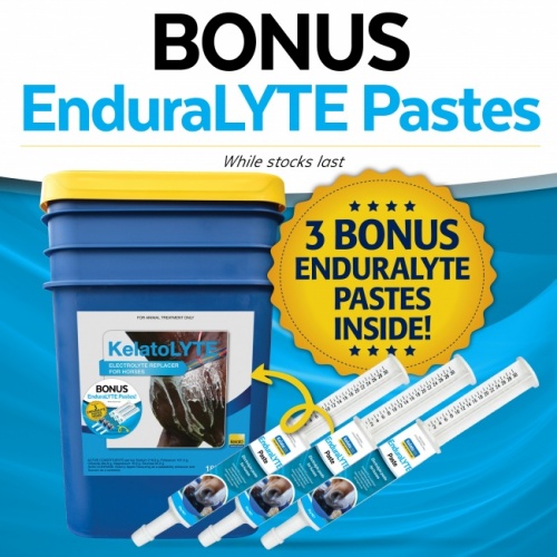 c1l2p0_kel0640_-_bonus_enduralyte_1080x1080px2