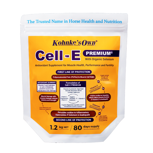cell-e-premium-1_2kg-pouch_550x825