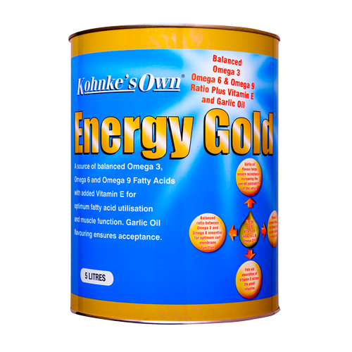 energy-gold-5l_550x825