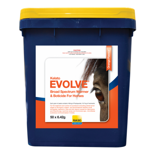 evolve_stable_pail_1592343601
