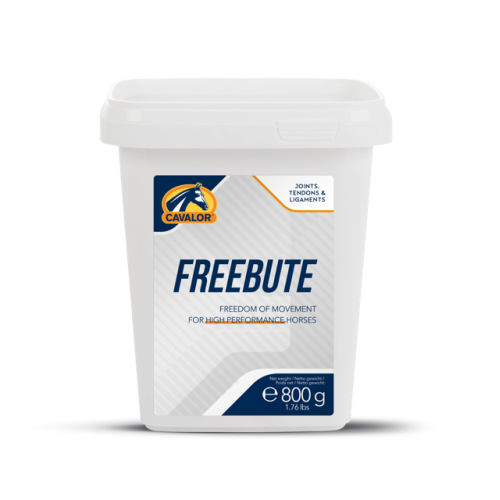 freebute_800gr