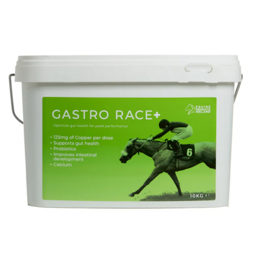 gastro_race_