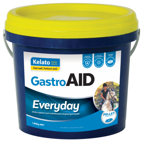 gastroaid-everyday_1_68kg_mar2021