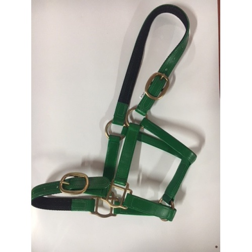 green_halter