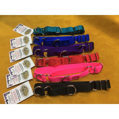 greyhound_martingale_nylon_collar