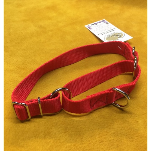 greyhound_martingale_nylon_collar_2