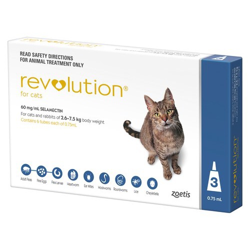 large-317009 revolution cat blu 3 s