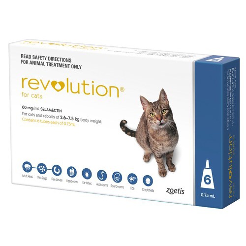 large-317010 revolution cat blu 6 s