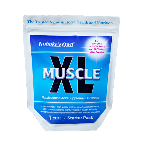 muscle-xl-1kg_550x825