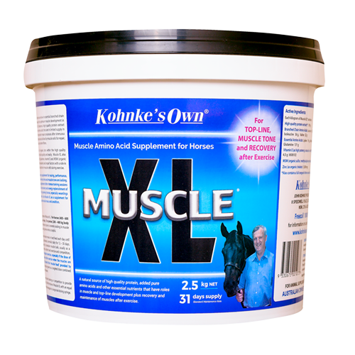 muscle-xl-2_5kg_550x825