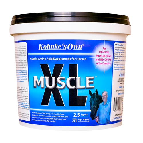 muscle-xl-2_5kg_550x825_254097491