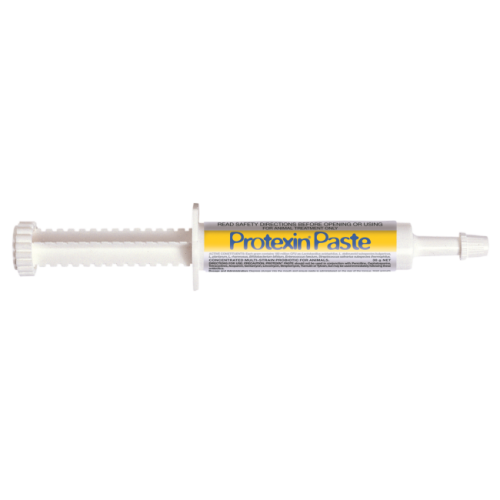 protexin_past_30gr