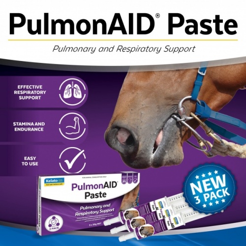 pumonaid_paste_3_pack_ad