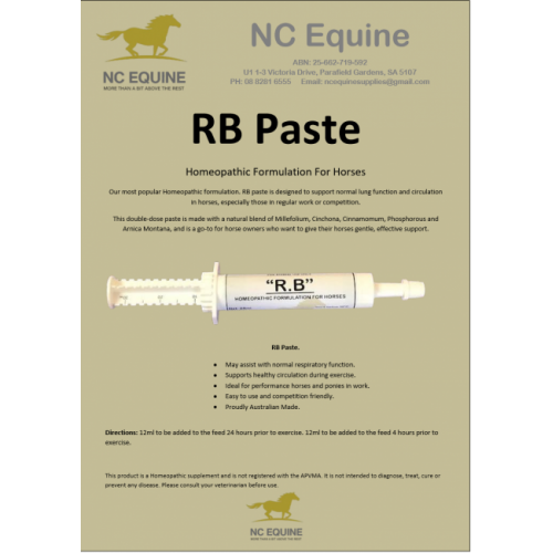 rb_paste_1745226579