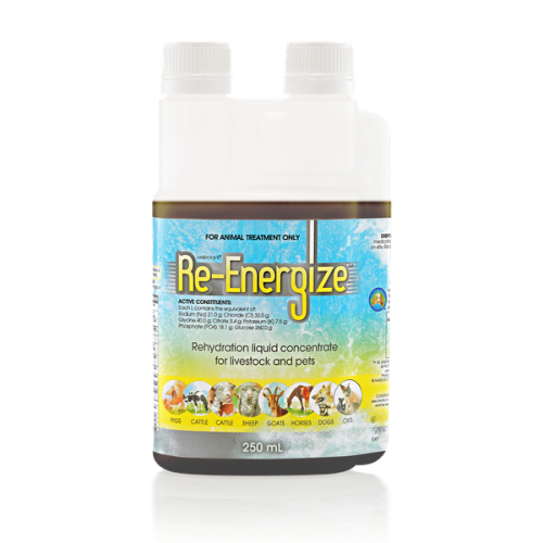 re-energize_250ml