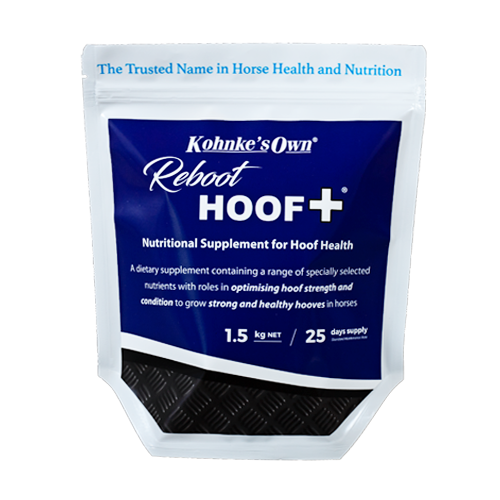 reboot-hoof-plus-1_5kg_550x825