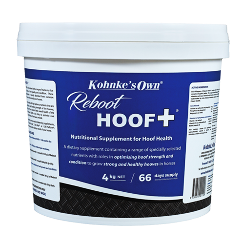 reboot-hoof-plus-4kg_550x825_1573358944