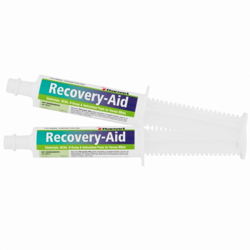 recoverdrenchpaste80ml