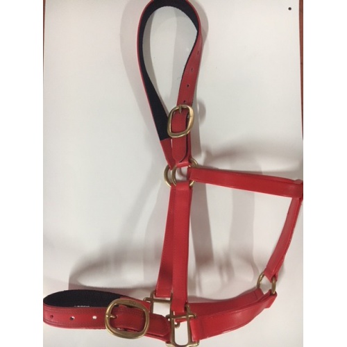 red_halter_2242