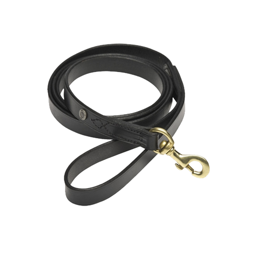 single_clip_lead