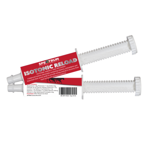 spectrum-_isotonic_reload_paste_80ml