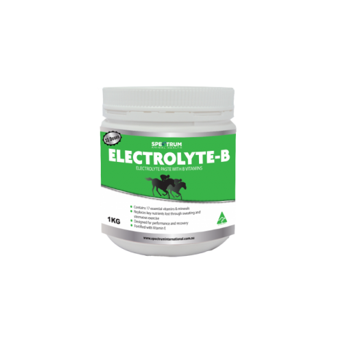 spectrum_electrolyte_b_1kg